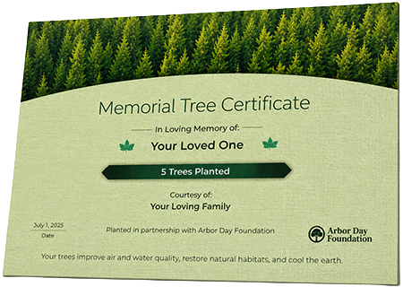 Plant Trees in Memory of Wilber Williams